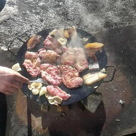 Idila Bajina Basta